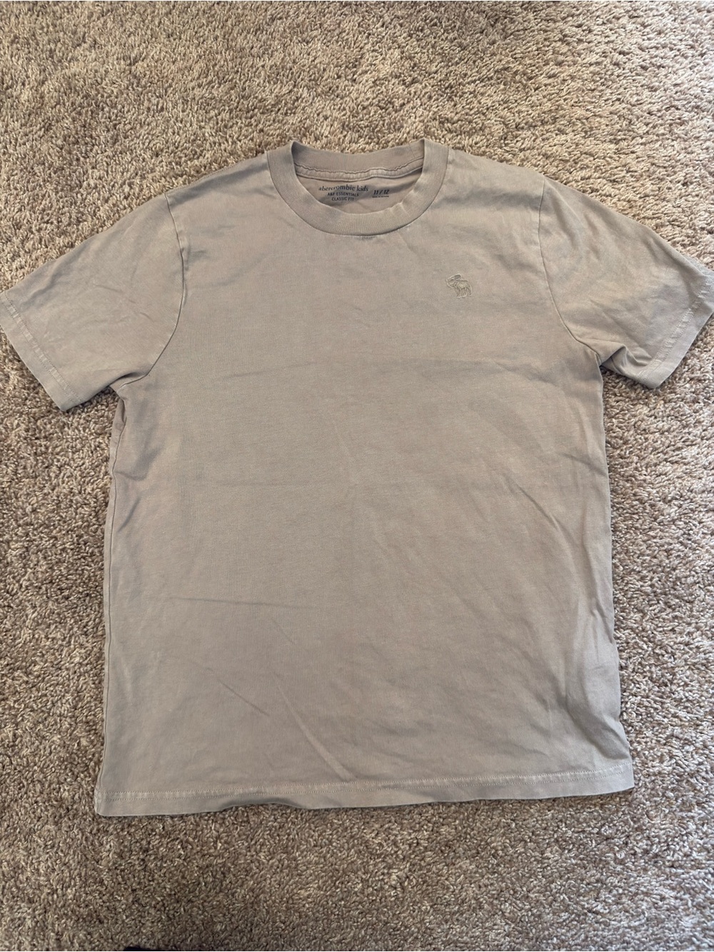 Boys Abercrombie & Fitch t-shirt
